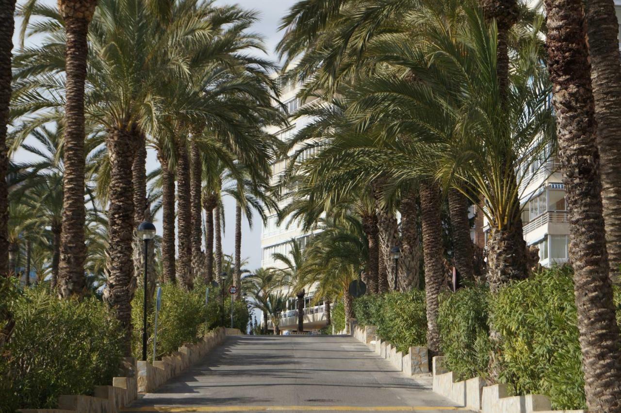 Barbara 20 Playa Muchavista Alicante El Campello Exteriér fotografie